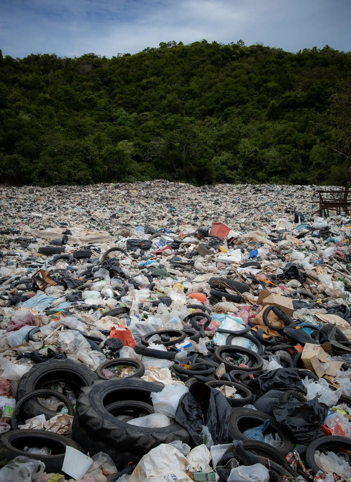 Shampoings solides Homnès sans flacon plastique