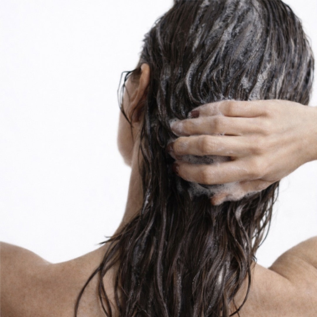 Espuma rica y cremosa del champú sólido para cabello graso Homnès