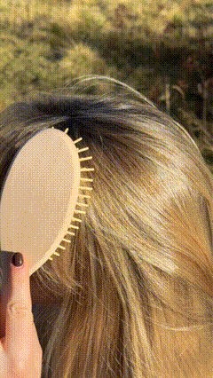 Natural hairbrush with wooden bristles